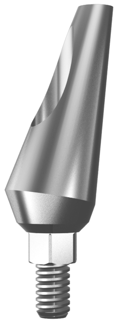 Angulated Lab Prepable Ti Abutments