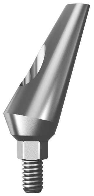 Angulated Lab Prepable Ti Abutments